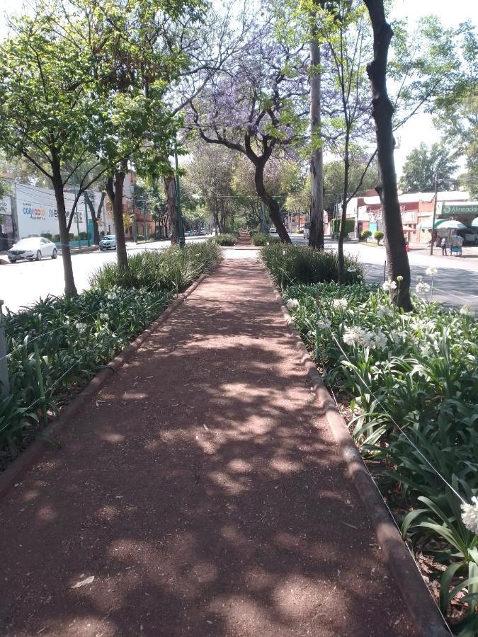Coyoacan Departamento Tipo Colonial Mexico-stad Buitenkant foto